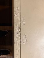 IMG_5833.jpeg