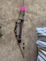 IMG_4260.jpeg