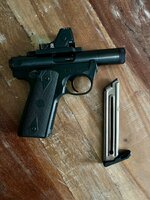 IMG_2044.jpeg