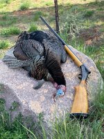 IMG_0794.jpeg