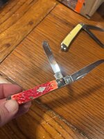 IMG_6879.jpeg