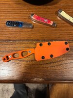 IMG_6891.jpeg