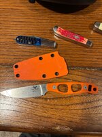 IMG_6893.jpeg