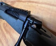 IMG_0369.jpeg