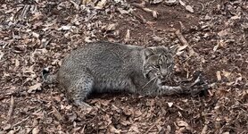 IMG_5665.jpeg