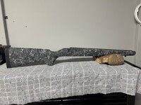 IMG_3556.jpeg