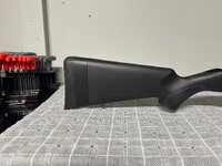 IMG_3561.jpeg