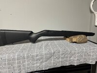 IMG_3560.jpeg