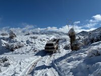 IMG_9991.jpeg