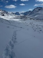 IMG_0345.jpeg