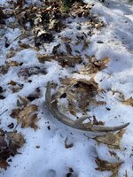 IMG_7302.jpeg