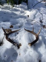 IMG_7303.jpeg