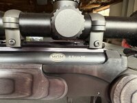 IMG_7082.jpeg
