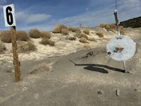IMG_1965.jpeg
