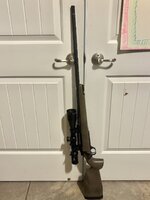IMG_7085.jpeg
