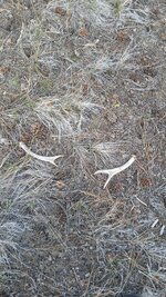 20260419_183316.jpg