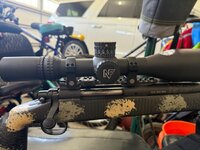 IMG_0954.jpeg