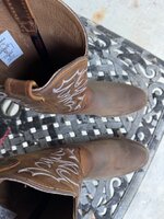 IMG_4585.jpeg