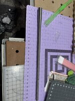 IMG_2347.jpeg