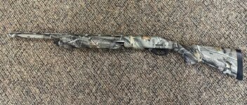 IMG_7617.jpeg