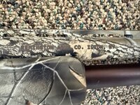 IMG_7632.jpeg