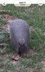 IMG_1659.jpeg