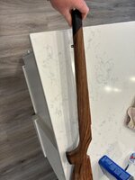 IMG_3711.jpeg