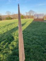 IMG_9316.jpeg