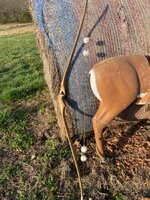 IMG_9318.jpeg