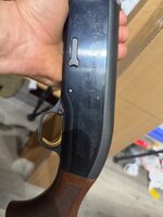 IMG_6650.jpeg