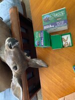 IMG_9829.jpeg