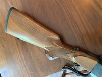 IMG_9820.jpeg