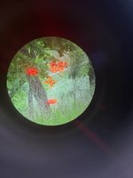 IMG_4715.jpeg