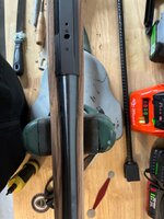 IMG_3714.jpeg