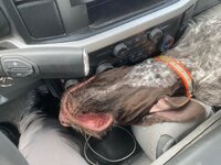 IMG_2280.jpeg