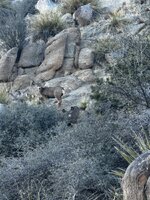 IMG_3565.jpeg