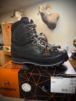 IMG_3556.jpeg