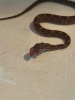 IMG_9959.jpeg