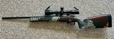 IMG_3738.jpeg