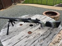 IMG_3178.jpeg