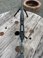 IMG_3175.jpeg