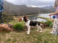 IMG_7742.jpeg