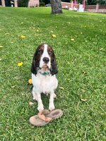 IMG_9671.jpeg