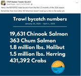 bycatch.jpg