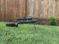 IMG_4781.jpeg