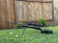 IMG_4772.jpeg
