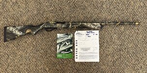 IMG_7679.jpeg