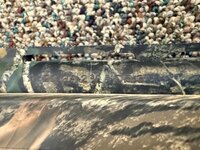 IMG_7695.jpeg