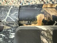 IMG_7700.jpeg