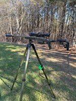 IMG_1365.jpeg